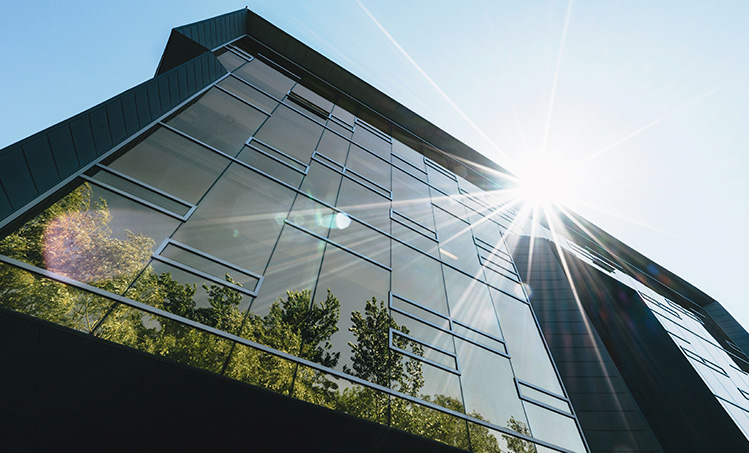 Plant Trees While Searching The Web