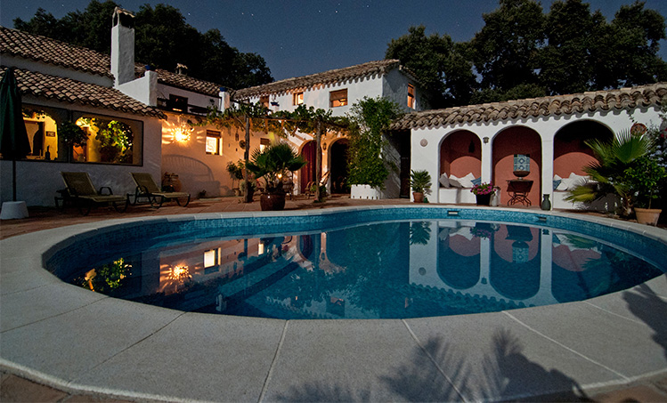 Plant Trees While Searching The Web